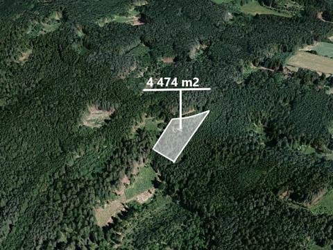 Prodej lesa, Třebíč, 4474 m2