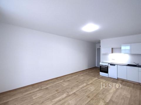 Pronájem bytu 1+kk, Čížová - Topělec, 27 m2