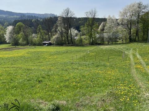 Prodej pozemku pro bydlení, Hošťálková, 1183 m2