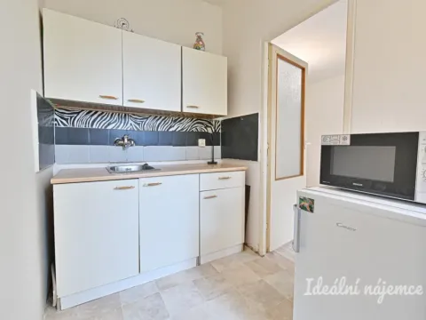 Pronájem bytu 1+1, Brno - Lesná, Halasovo náměstí, 29 m2
