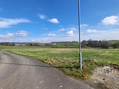 Prodej pozemku pro bydlení, Čížová, 1889 m2