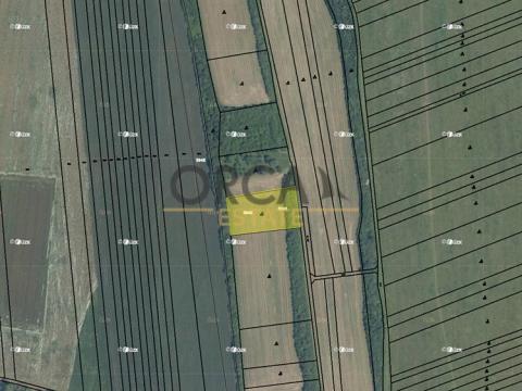 Prodej zemědělské půdy, Bánov, 3835 m2