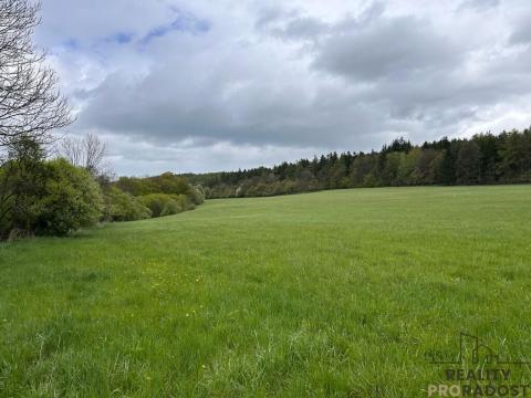 Prodej zemědělské usedlosti, Jivina, 895 m2
