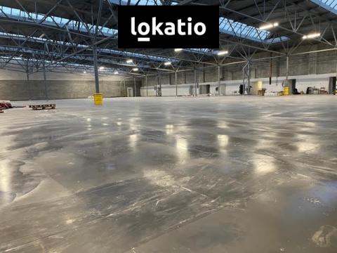 Pronájem skladu, Žatec, 8000 m2