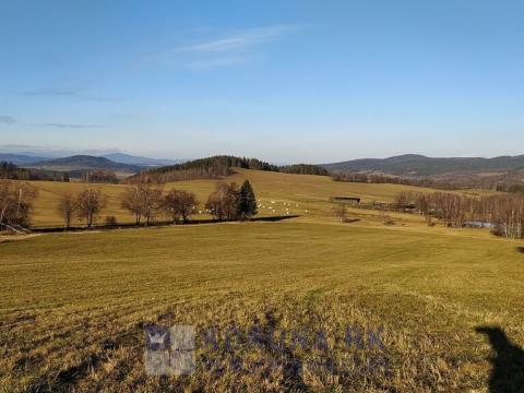 Prodej pozemku pro bydlení, Benešov nad Černou - Kuří, 7089 m2