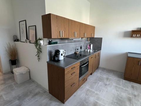 Pronájem bytu 2+kk, Ústí nad Labem - Ústí nad Labem-centrum, Panská, 57 m2