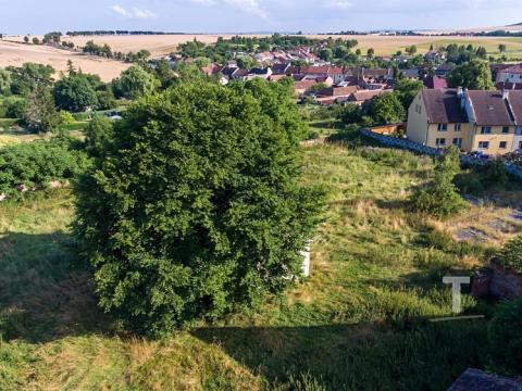 Prodej pozemku pro bydlení, Výšovice, 5979 m2