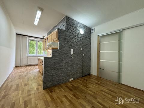 Pronájem bytu 1+1, Sokolov, Švabinského, 42 m2