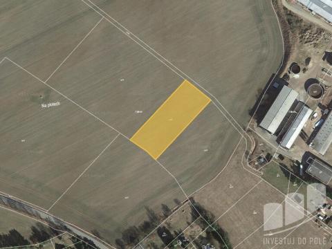 Prodej zemědělské půdy, Cheznovice, 2155 m2