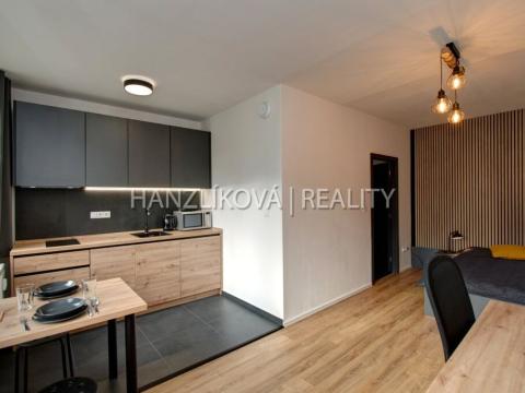 Pronájem bytu 1+kk, České Budějovice - České Budějovice 2, V. Volfa, 36 m2