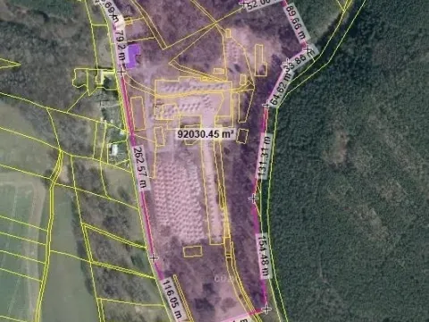 Pronájem komerčního pozemku, Bělá pod Bezdězem, 50000 m2