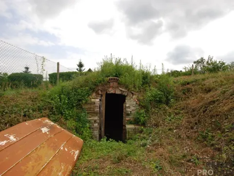 Prodej chaty, Břeclav - Charvátská Nová Ves, 15 m2