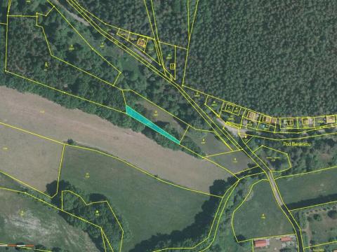 Prodej trvalého travního porostu, Myštice - Vahlovice, 372 m2