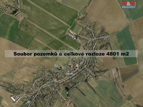 Prodej trvalého travního porostu, Jalubí, 4801 m2