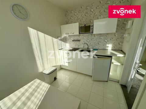Pronájem bytu 1+1, Zlín, Česká, 33 m2