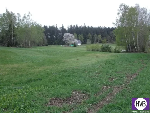 Prodej podílu 1/3 pole, Přední Výtoň, Přední Výtoň, 4039 m2