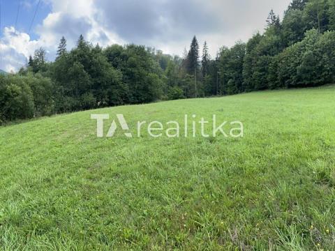 Prodej trvalého travního porostu, Dolní Lomná, 12344 m2