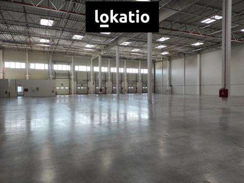 Pronájem skladu, Hostivice, K Dálnici, 2733 m2