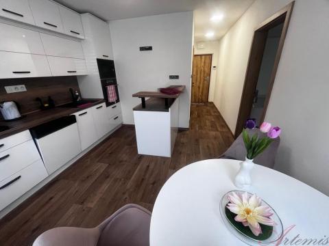 Prodej bytu 1+1, Frýdek-Místek - Frýdek, Mánesova, 47 m2