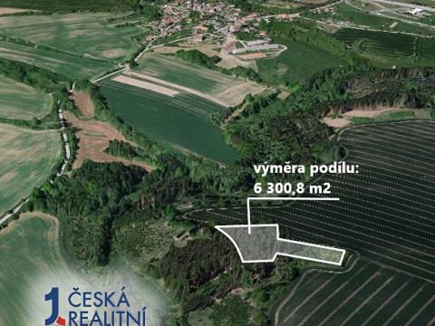 Prodej podílu lesa, Trhový Štěpánov, 6301 m2