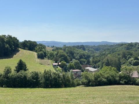 Prodej trvalého travního porostu, Jílové u Prahy, 12734 m2