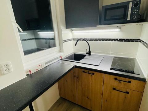 Pronájem bytu 1+kk, Praha - Braník, Ve studeném, 25 m2
