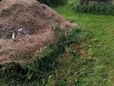 Prodej pozemku pro bydlení, Nemyčeves, 300 m2