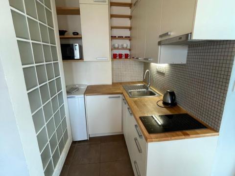 Pronájem bytu 1+kk, Praha - Břevnov, Bělohorská, 32 m2