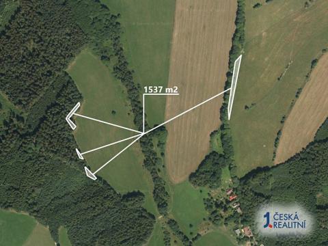 Prodej lesa, Nové Město pod Smrkem, 1537 m2