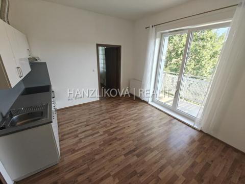 Pronájem bytu 2+kk, České Budějovice - České Budějovice 2, U Lesa, 38 m2