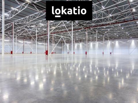 Pronájem výrobních prostor, Hladké Životice, 4000 m2