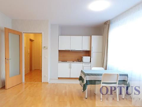 Pronájem bytu 1+kk, Praha - Vinohrady, U Zvonařky, 36 m2