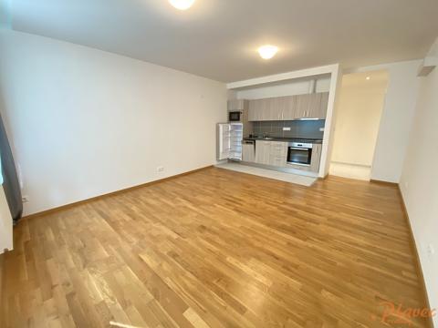 Pronájem bytu 2+kk, Praha - Staré Město, Národní, 67 m2