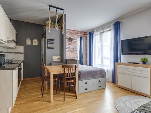 Pronájem bytu 1+kk, Praha - Žižkov, Baranova, 33 m2