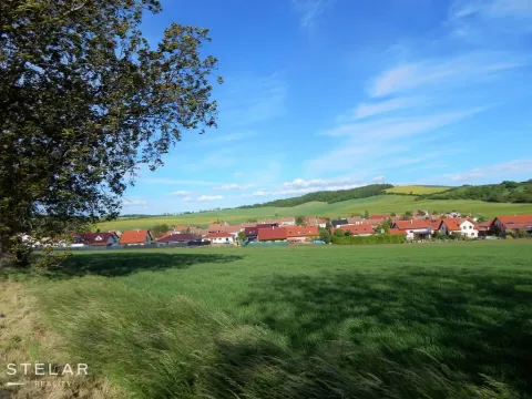 Prodej komerčního pozemku, Němčany, 9887 m2