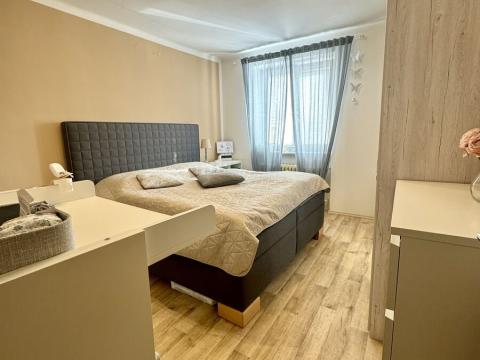 Pronájem bytu 2+1, Opava - Předměstí, Hany Kvapilové, 56 m2