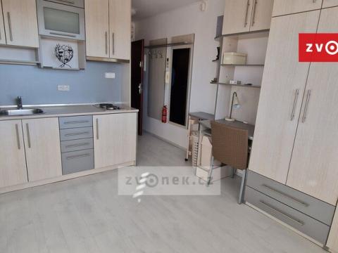 Pronájem bytu 1+kk, Zlín - Malenovice, I. Veselkové, 20 m2