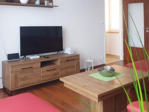 Pronájem apartmánu, Ostrava - Moravská Ostrava, Gajdošova, 60 m2