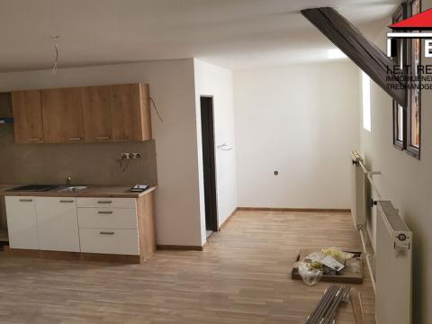 Pronájem bytu 2+kk, Opava, Sněmovní, 80 m2