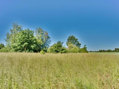 Prodej pozemku pro bydlení, Sezemice, Pardubická, 4532 m2