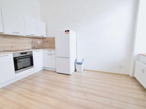 Pronájem bytu 1+kk, Brno - Zábrdovice, Vlhká, 24 m2