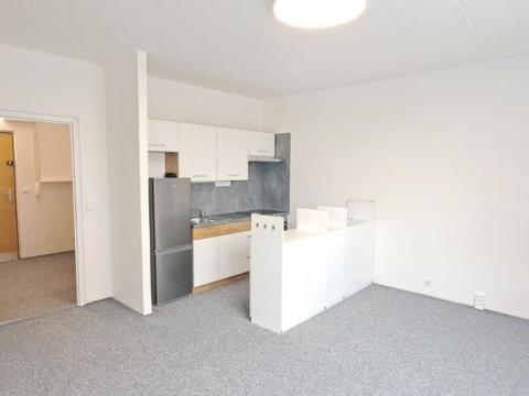 Pronájem bytu 1+kk, Jihlava, Za Prachárnou, 43 m2