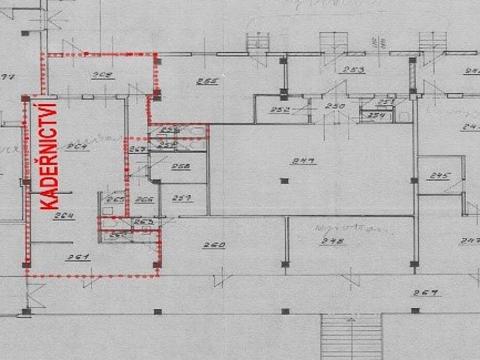 Pronájem obchodního prostoru, Chomutov, Školní pěšina, 100 m2