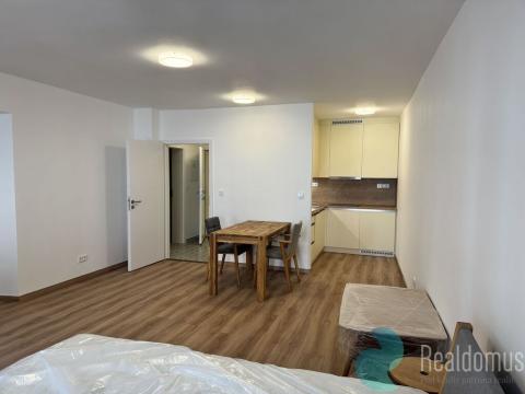 Pronájem bytu 1+kk, České Budějovice, Česká, 29 m2