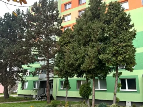 Prodej bytu 1+1, Vyškov, Puškinova, 38 m2