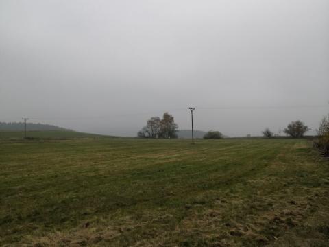 Prodej podílu 1/2 louky, Stanovice, 15437 m2