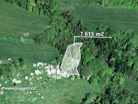 Prodej podílu lesa, Heřmanov, 2538 m2