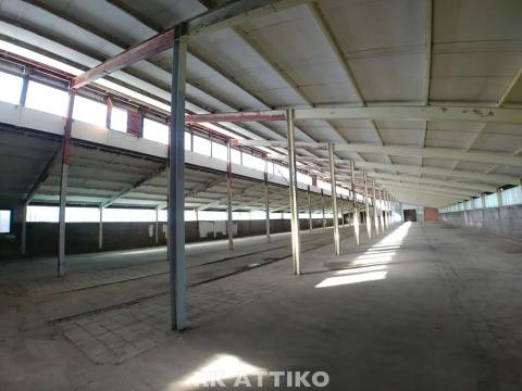 Pronájem výrobních prostor, Stavěšice, 2270 m2