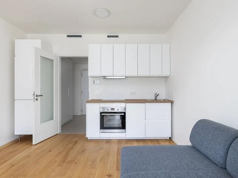 Pronájem bytu 1+kk, Praha - Strašnice, Ramonova, 27 m2