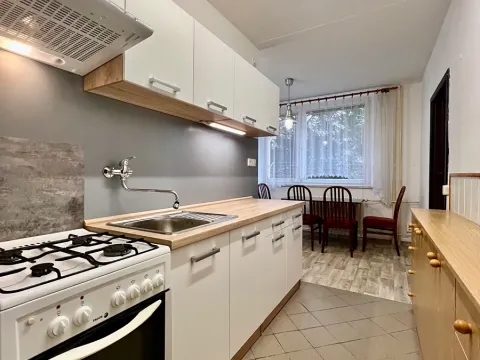 Pronájem bytu 2+1, Vyškov, Puškinova, 52 m2